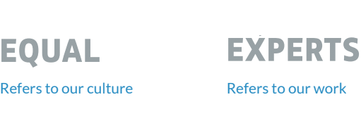 Equal refers to our culture. Expert refers to our work