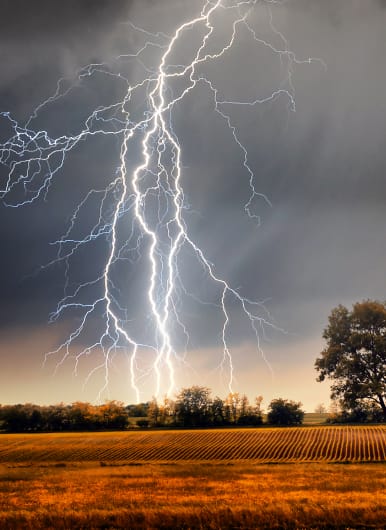 Lightning shooting from the sky to a field of dry grass