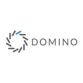 Domino Logo