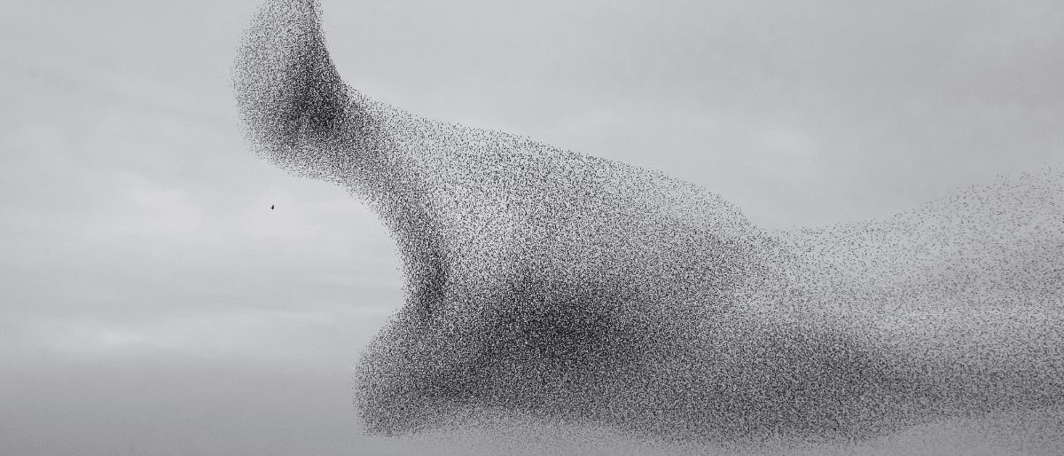 Non-Determinism in AI: Why Answers May Vary